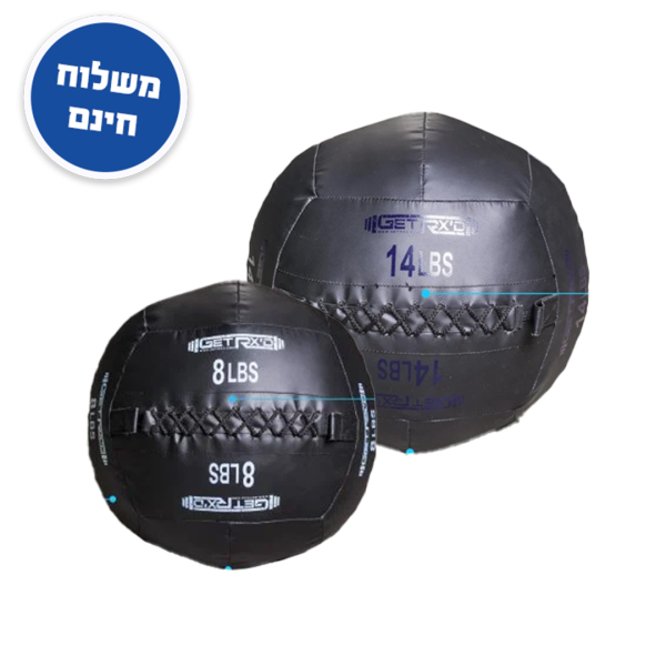 זוג כדורי כוח  Premium Wall Ball 8lb+14lb